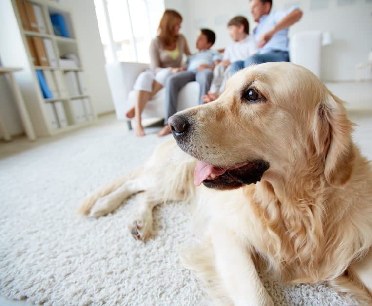 Average Summer Energy Consumption for a 3-Bedroom Home