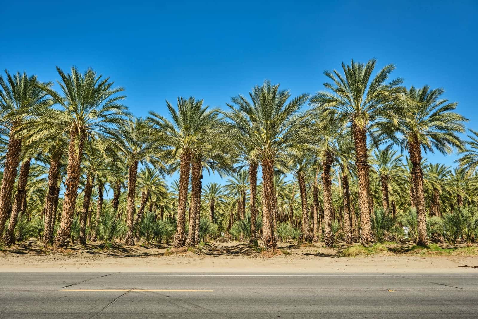 Residential Electrician in Coachella - photo 1