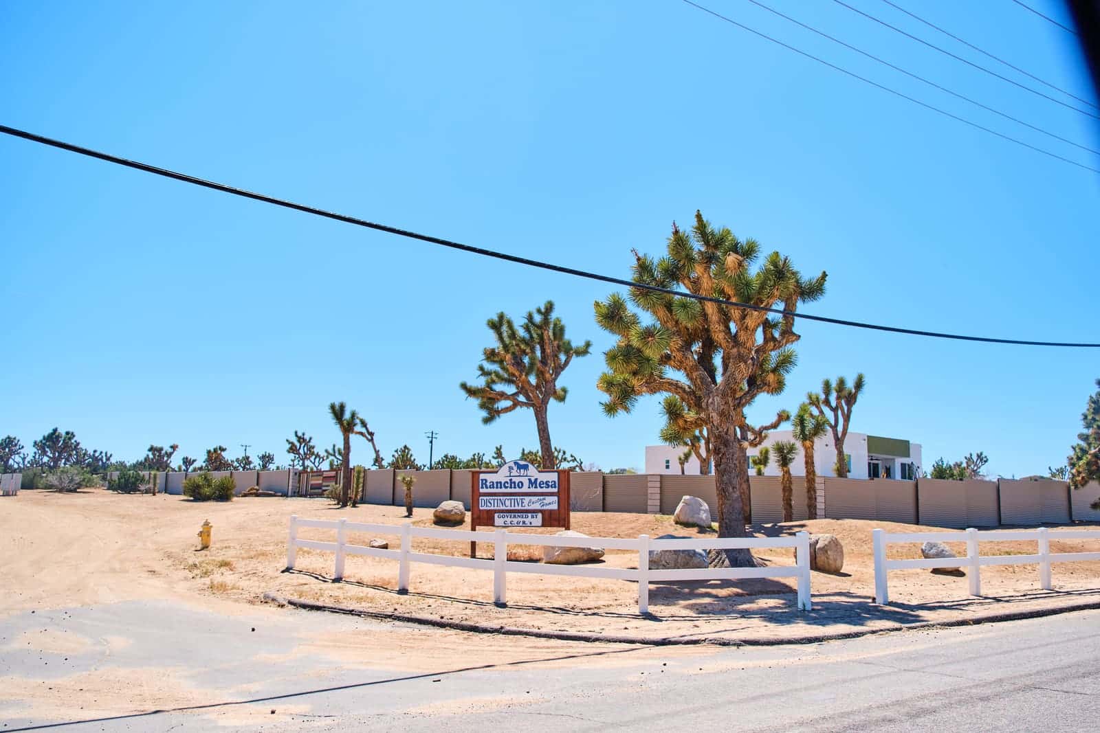 Flamingo Heights - photo 5
