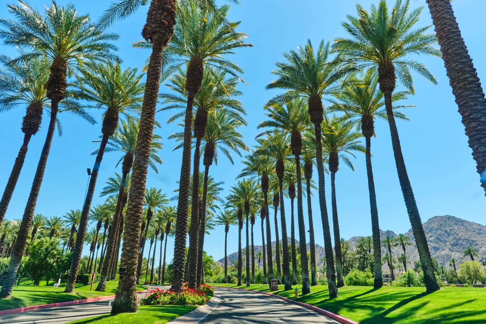 Residential Electrician in Indian Wells - photo 4