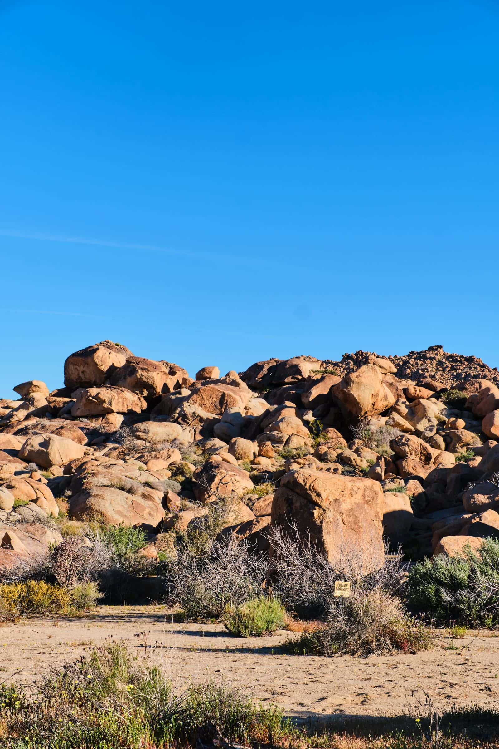 Residential Electrician in Joshua Tree - photo 4