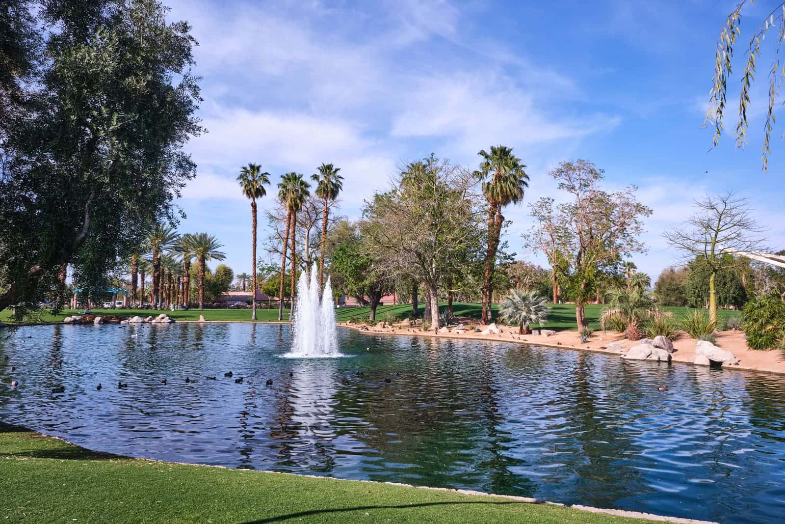 Coachella Valley - photo 6